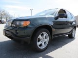 2003 Oxford Green Metallic BMW X5 4.4i #77924610