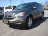 2010 Urban Titanium Metallic Honda CR-V EX-L #77961289