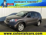 2010 Urban Titanium Metallic Honda CR-V EX AWD #77961860
