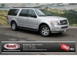 Ingot Silver Metallic Ford Expedition in 2010