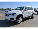2013 Volkswagen Tiguan SE