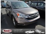 2010 Urban Titanium Metallic Honda CR-V EX #78023290