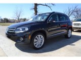 2013 Volkswagen Tiguan SE