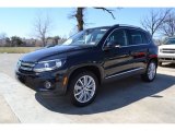 2013 Volkswagen Tiguan SE
