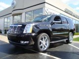 2009 Black Raven Cadillac Escalade AWD #7790918