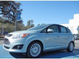 Ice Storm Ford C-Max in 2013