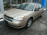 2005 Light Driftwood Metallic Chevrolet Malibu Sedan #78076146