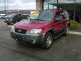 2005 Redfire Metallic Ford Escape XLT V6 4WD #7790971