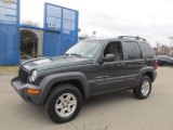 2002 Shale Green Metallic Jeep Liberty Sport 4x4 #78121857