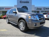 2011 Sterling Grey Metallic Ford Expedition XLT #78121983