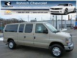Pueblo Gold Metallic Ford E Series Van in 2009