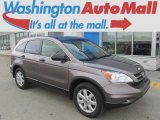 2011 Urban Titanium Metallic Honda CR-V SE 4WD #78121927