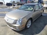 Radiant Bronze Cadillac STS in 2006