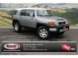 2009 Titanium Metallic Toyota FJ Cruiser 4WD #78181044