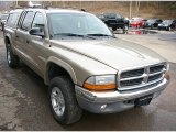 2004 Dodge Dakota Light Almond Pearl Metallic