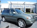 2006 Oasis Green Pearl Toyota Highlander Limited #78319589