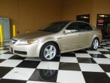 2005 Acura TL Desert Mist Metallic