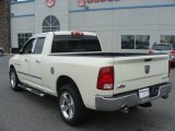 2010 Dodge Ram 1500 Big Horn Quad Cab 4x4 Exterior