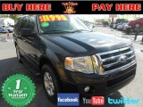 2007 Carbon Metallic Ford Expedition XLT #78374979
