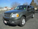 2004 Ford Expedition XLT 4x4 Front 3/4 View