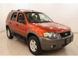 2006 Ford Escape XLT V6 4WD