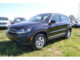 2013 Volkswagen Tiguan S