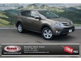 2013 Pyrite Mica Toyota RAV4 XLE AWD #78523649