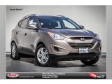 2010 Chai Bronze Hyundai Tucson GLS #78584525