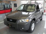 Dark Shadow Grey Metallic Ford Escape in 2005