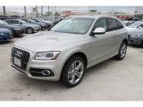 Cuvee Silver Metallic Audi Q5 in 2013