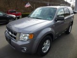 2008 Ford Escape XLT V6 Front 3/4 View