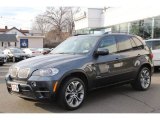 2011 Platinum Gray Metallic BMW X5 xDrive 50i #78698145