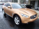 2010 Infiniti FX 35 AWD Front 3/4 View