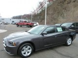 2013 Granite Crystal Dodge Charger SE #78764177