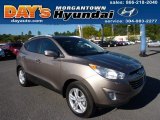 2013 Chai Bronze Hyundai Tucson GLS AWD #78764410