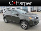 2013 Tuscan Olive Kia Sorento EX V6 AWD #78763717