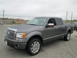 2010 Ford F150 Platinum SuperCrew 4x4 Front 3/4 View