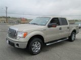 2010 Ford F150 XLT SuperCrew 4x4 Front 3/4 View