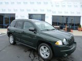 2010 Natural Green Pearl Jeep Compass Sport 4x4 #78880032