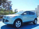2013 Frosted Glass Metallic Ford Escape SE 1.6L EcoBoost #78939662