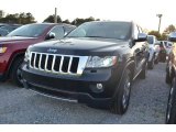 2013 Black Forest Green Pearl Jeep Grand Cherokee Limited #78939743