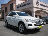 2010 Mercedes-Benz ML 350 4Matic