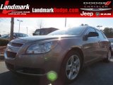 2010 Chevrolet Malibu LS Sedan