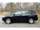 Black Forest Pearl Toyota RAV4 in 2010