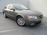 2009 Willow Gray Hyundai Sonata Limited V6 #78996538