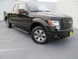2010 Ford F150 FX2 SuperCab Data, Info and Specs