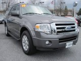 2010 Sterling Grey Metallic Ford Expedition XLT 4x4 #78996787