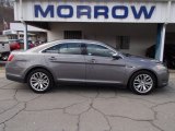 2013 Sterling Gray Metallic Ford Taurus Limited #79058530