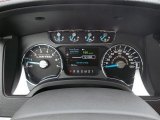 2013 Ford F150 Limited SuperCrew 4x4 Gauges