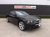 2013 Pitch Black Dodge Charger R/T #79058885